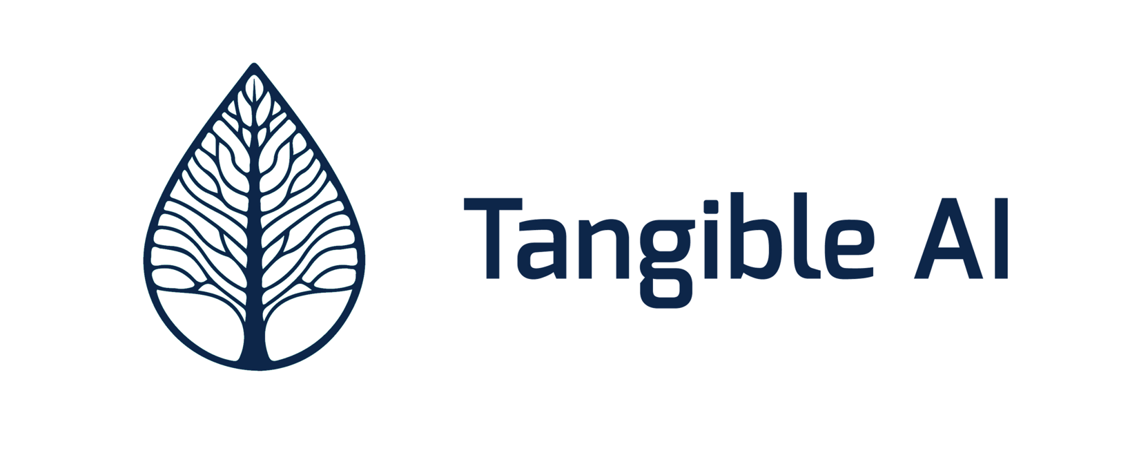 TangibleAI